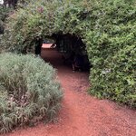 Photo taken by Mary E