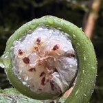 Photo taken by rebecca t