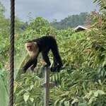 Photo taken by Karen P