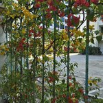 Photo taken by Michael and Kristen S