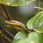 Photo taken by Chris H