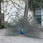 Photo taken by joyce h