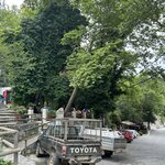 Photo taken by Edwin T