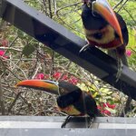 Photo taken by Charles H