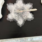 Photo taken by Jennifer D