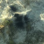 Photo taken by James W