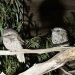 Photo taken by Maria K