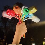 Photo taken by Tom F