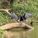 Photo taken by Kakoli K