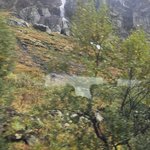 Photo taken by Sharon S