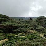 Photo taken by Mordechay T