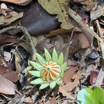 Photo taken by Nathalie B