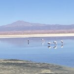 Photo taken by Carmen P