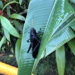 Photo taken by Anna L