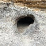 Photo taken by Daniel S