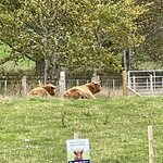 Photo taken by David L