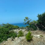 Photo taken by Braedon G