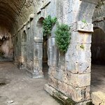 Photo taken by Elizabeth S