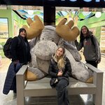 Photo taken by Alison D