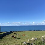 Photo taken by Madison K