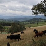 Photo taken by Miranda M