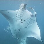 Photo taken by Saima L