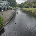 Photo taken by Ruth R