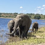 Photo taken by rhonda c