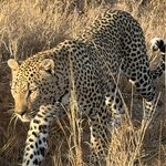 Photo taken by Paul B