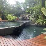 Photo taken by Matt P