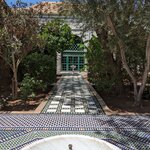 Photo taken by Roni E