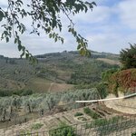 Photo taken by Wendy P