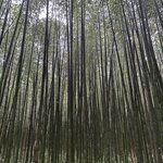 Photo taken by Bob R