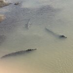 Photo taken by Jennifer C