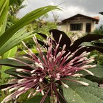 Photo taken by Chris G