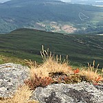 Photo taken by Alexandra Z