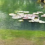 Photo taken by Mike T