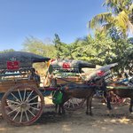 Photo taken by shelly s