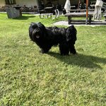 Photo taken by Ronda O