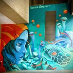 Photo taken by Colin M