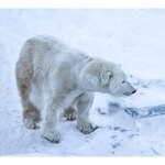 Photo taken by Ann B