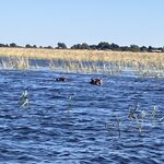 Photo taken by rhonda c