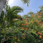 Photo taken by Kate R