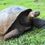 Photo taken by Patricia D