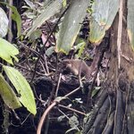 Photo taken by Chris G