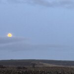 Photo taken by Julie M