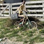 Photo taken by Terry M