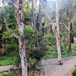 Photo taken by Daniel S