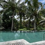 Photo taken by Judith D