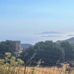 Photo taken by Allison S